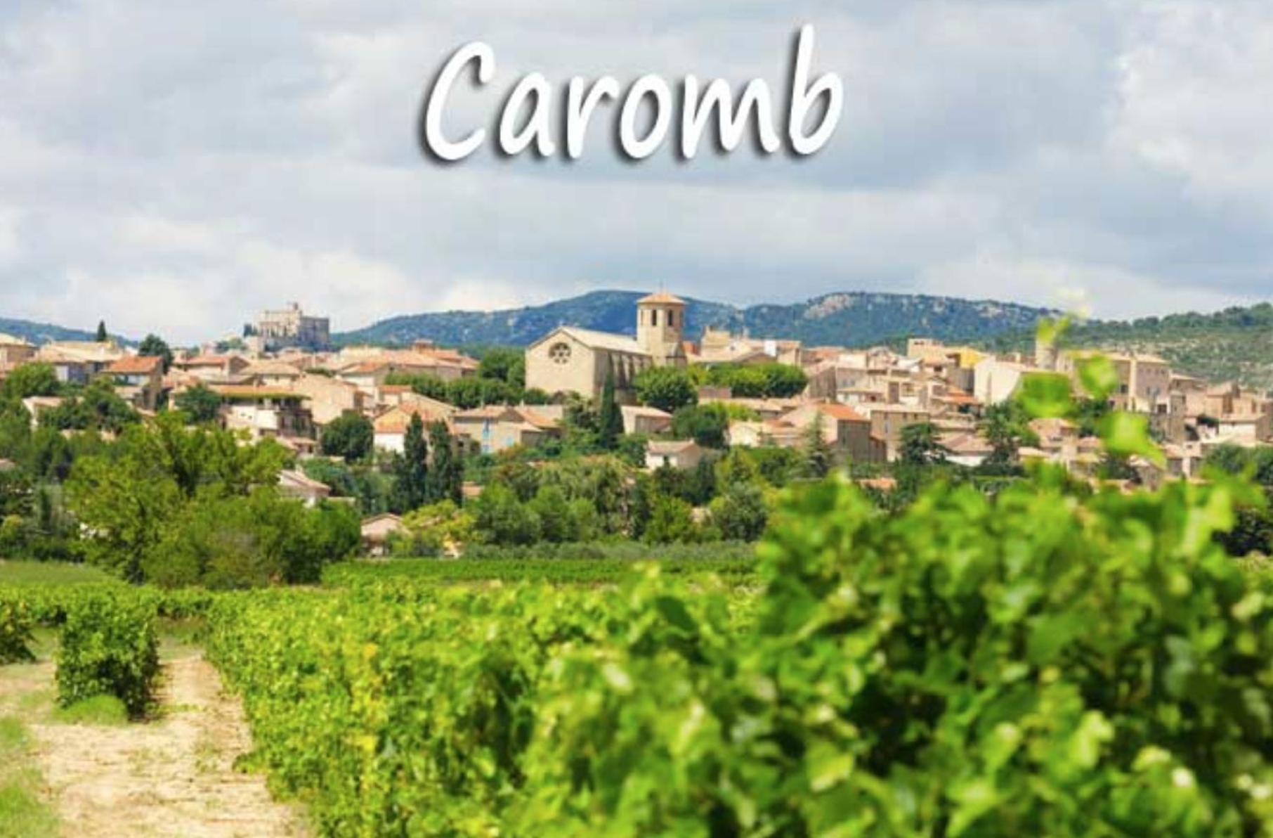 Belle Maison Provencale Au Pied Du Mont Ventoux Caromb Bagian luar foto